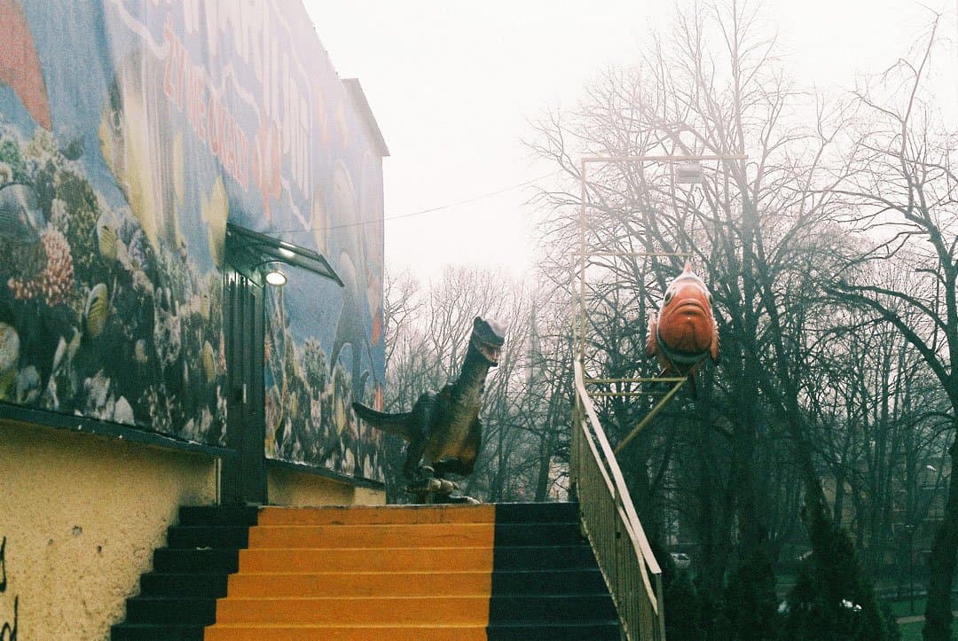 Shoot It With Film Jagoda Malanin Poland 