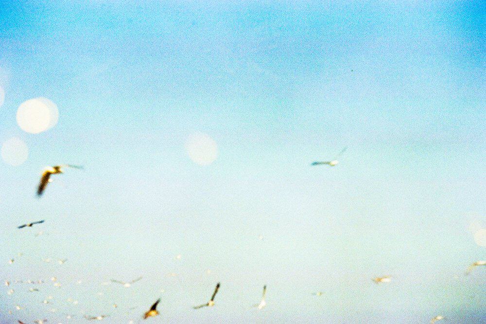 Shoot It With Film Julie Guertin Morocco