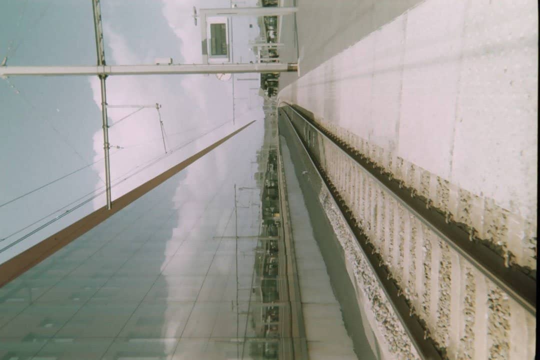 Shoot It With Film Sven Brauer Disposable Cameras