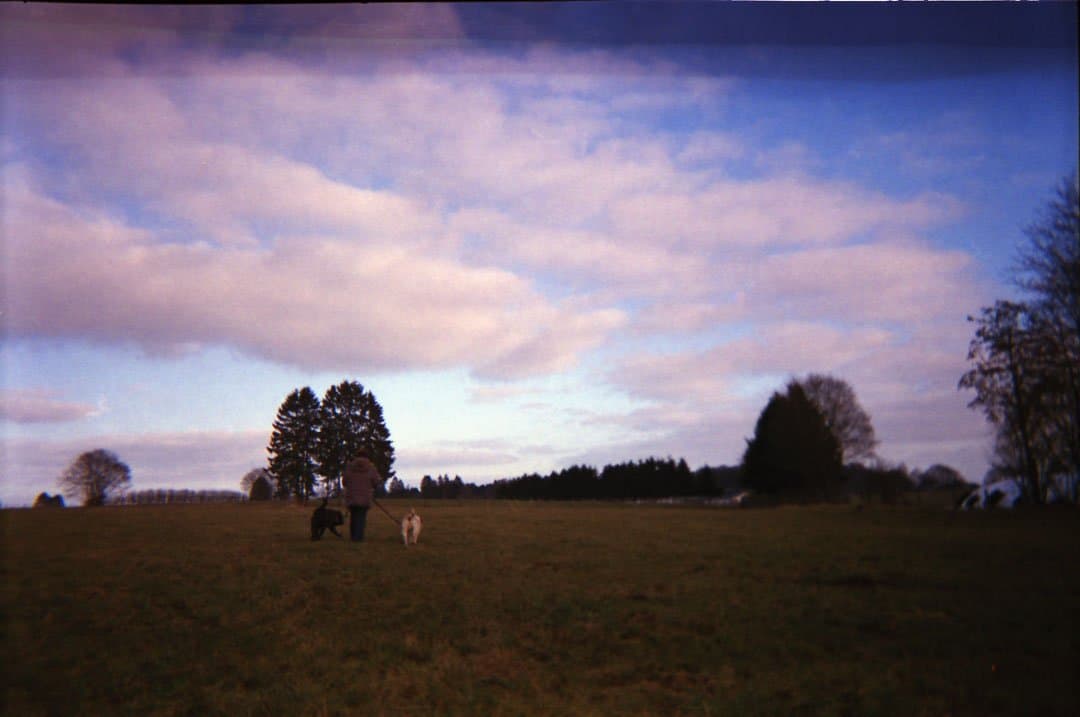 Shoot It With Film Sven Brauer Disposable Cameras