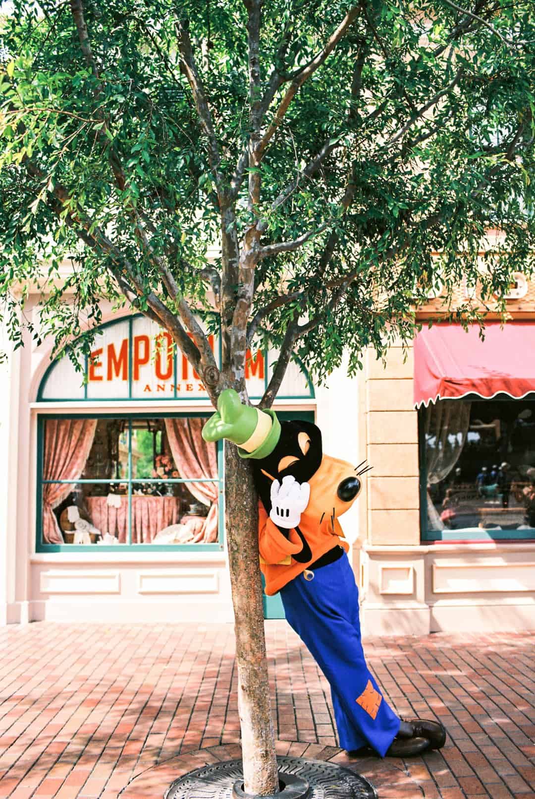 Disneyland on Film by William Trang on Shoot It With Film