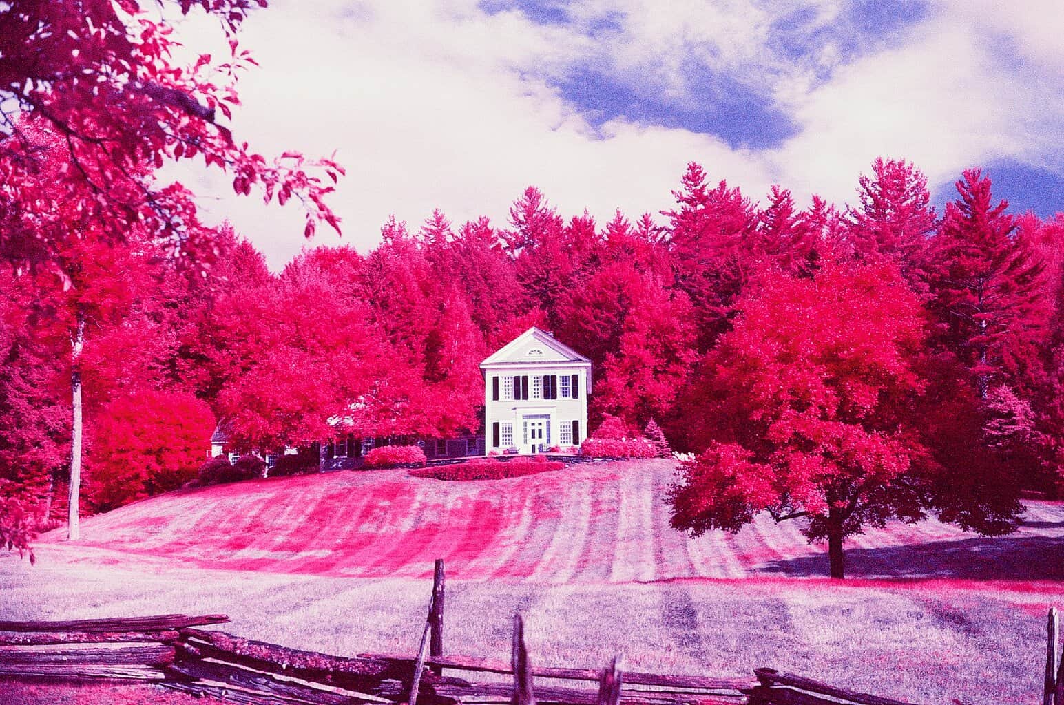 How To Shoot Color Infrared Film by Jessica Bellinger on Shoot It With Film