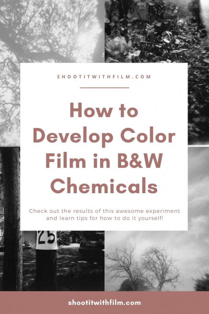 How to Develop Color Film in Black and White Chemicals 2 » Shoot It