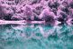 Pyrenees Mountain Range on Lomochrome Purple by Andrew Foster on Shoot It With Film