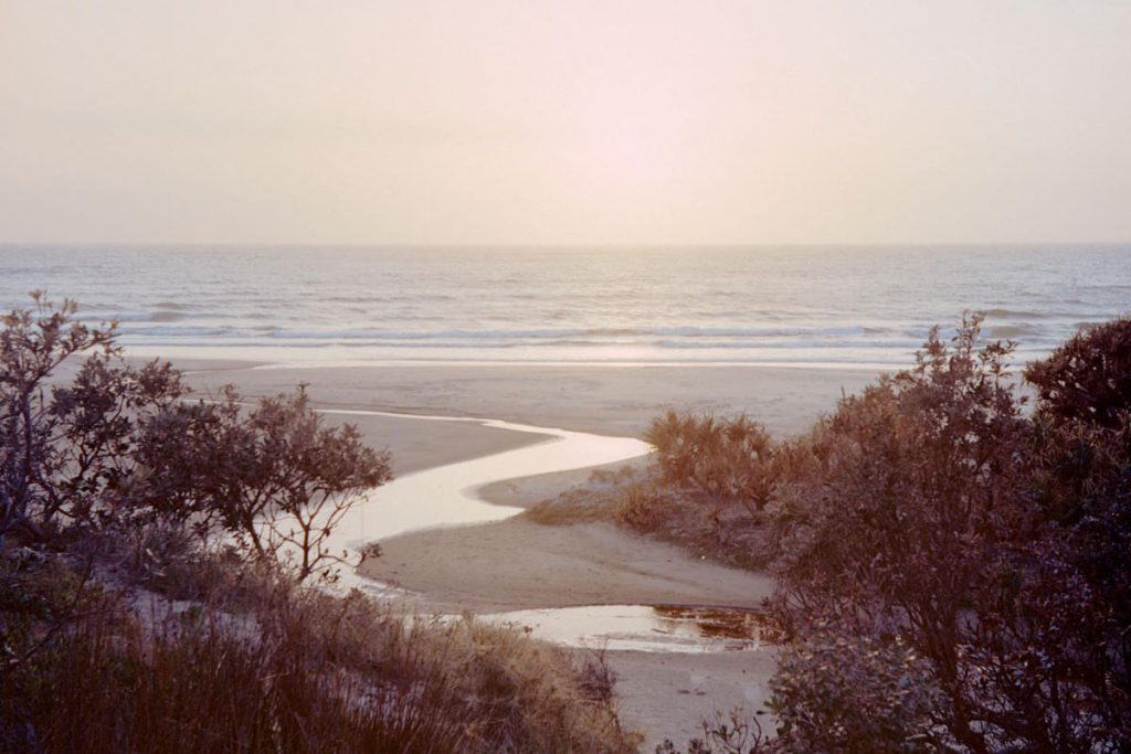 Medium format film image of the Australian wildfires - Scorched Earth by Jeremy Billett on Shoot It With Film