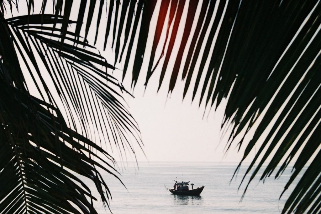 35mm film image of a boat framed by leaves - Vietnam Travel Story by Kamal Tung on Shoot It With Film