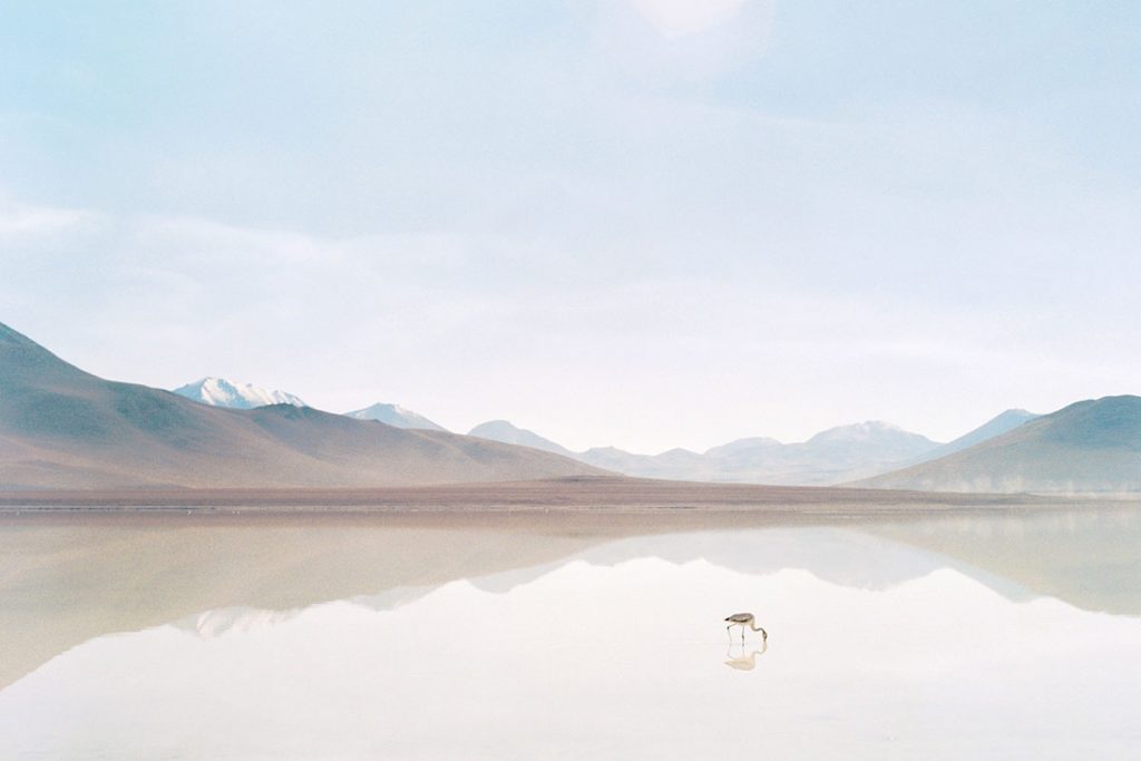 Medium format film image of a lake in the Atacama Desert - Atacama Desert Chile Travel Story by Anna Doshina on Shoot It With Film