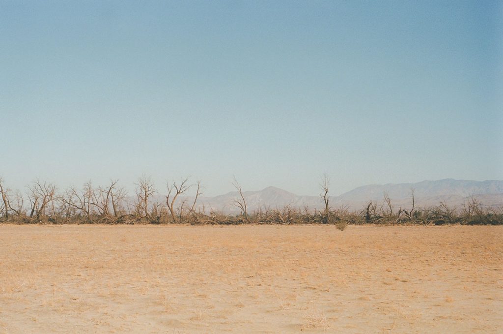 35mm film image of the California desert - California Desert on Film by Kendall Wheeler on Shoot It With Film