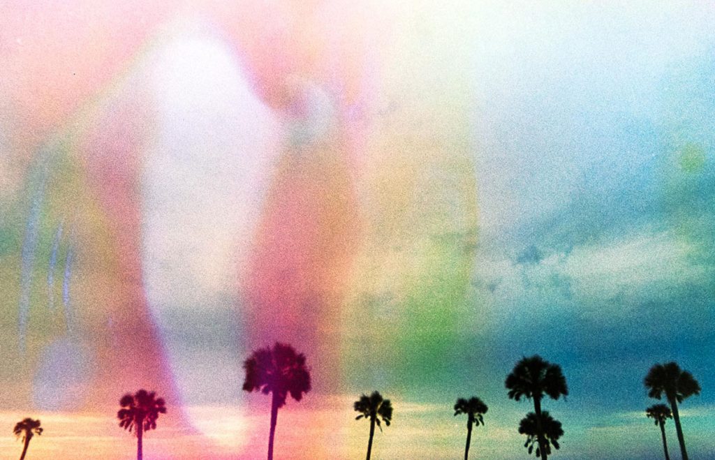 35mm film soup image with palm trees - Film Soup Pensacola Travel Series by Mallory Brooks on Shoot It With Film