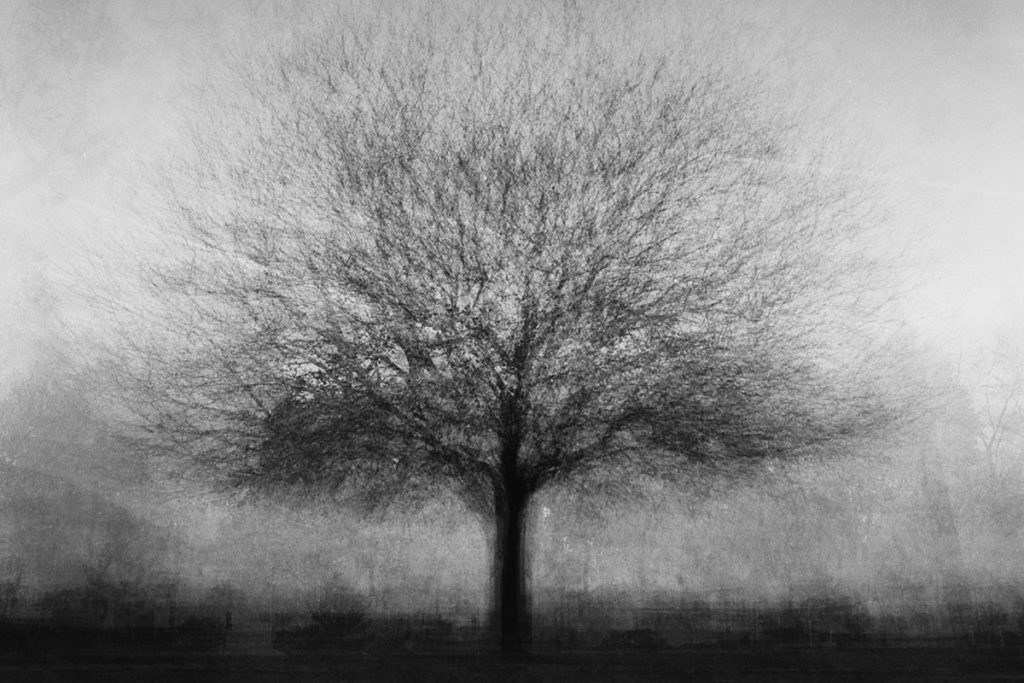 Medium format film photography with 20+ multiple exposures