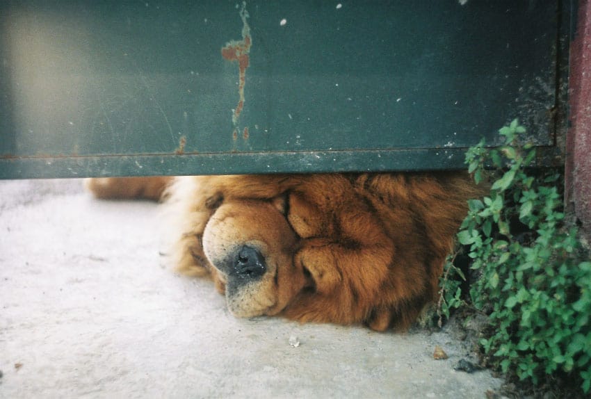 35mm film photography of Istanbul