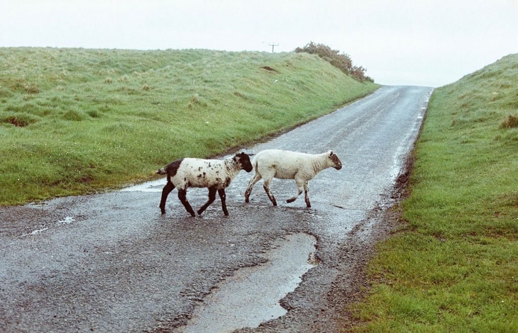 35mm film image of Scotland by Cara Davidson on Shoot It With Film