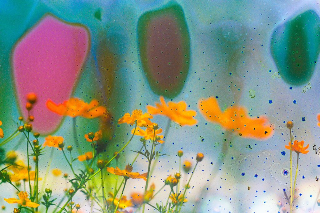 35mm film soup image - Cost of Film Soup by Sara Johansen on Shoot It With Film
