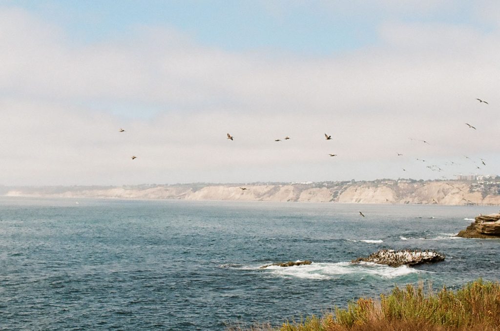 35mm film image of San Diego