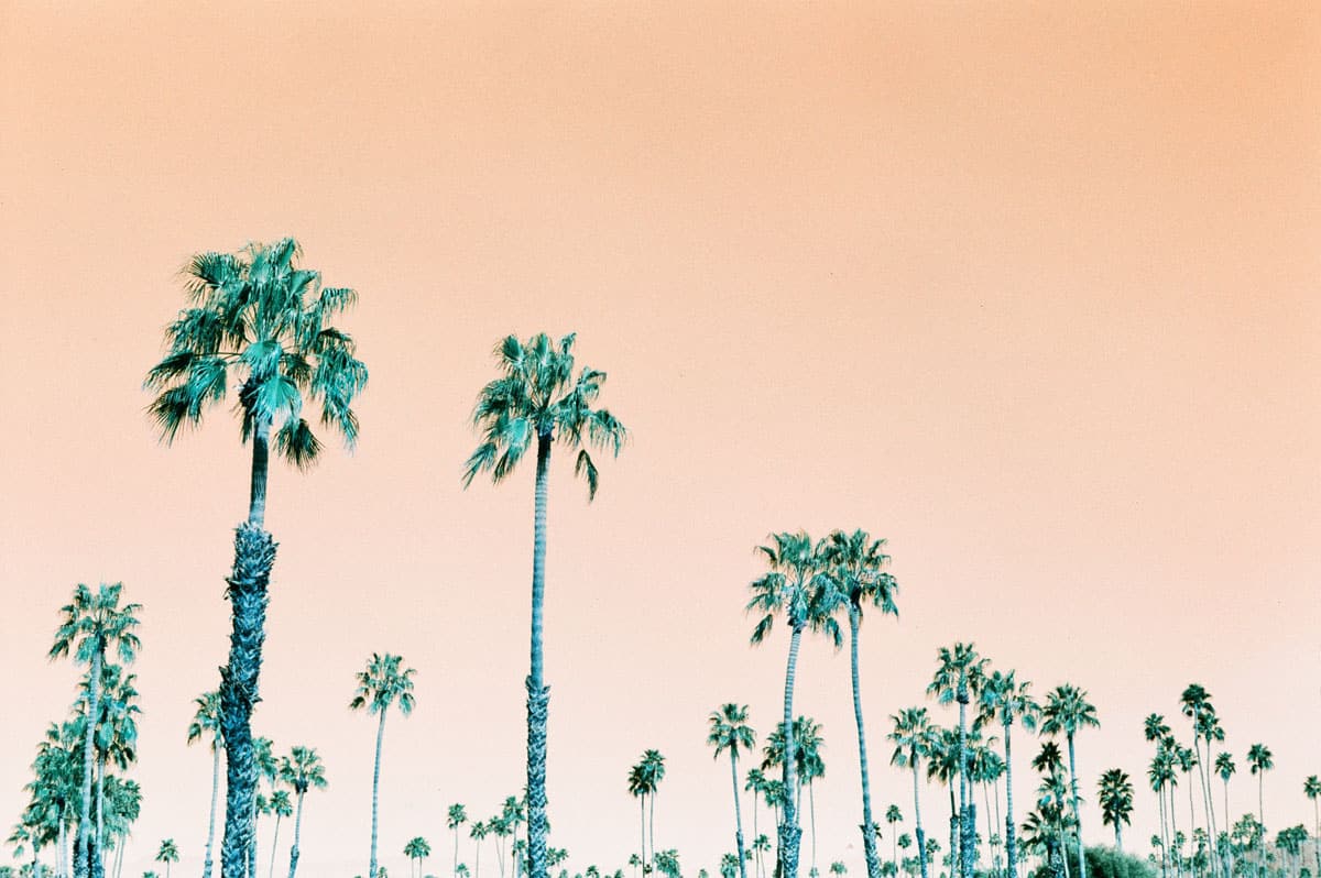 Example of LomoChrome Turquoise on 35mm film - Lomography LomoChrome Turquoise Review by Sara Johansen on Shoot It With Film