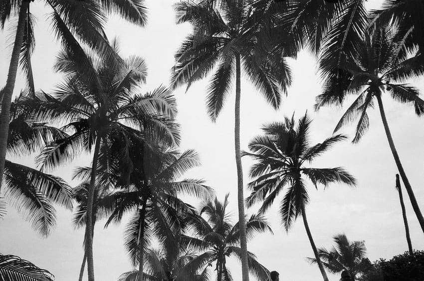 35mm black and white film image of India by Alisa Velieva on Shoot It With Film