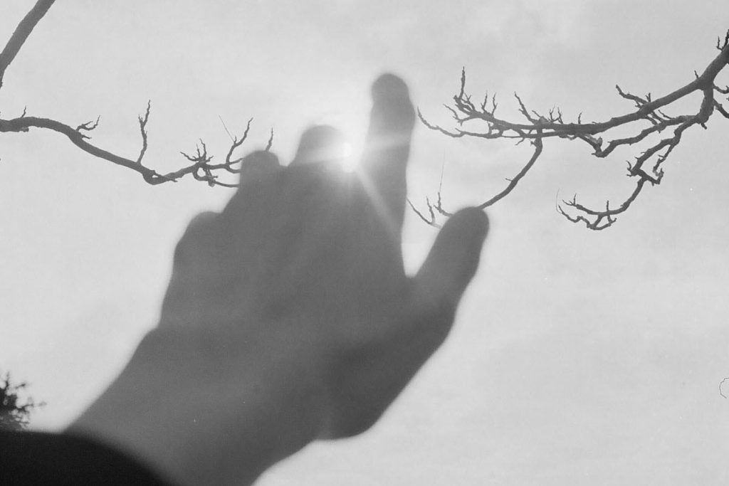 35mm fine art film photography by Fidan Nazim qizi on Shoot It With Film