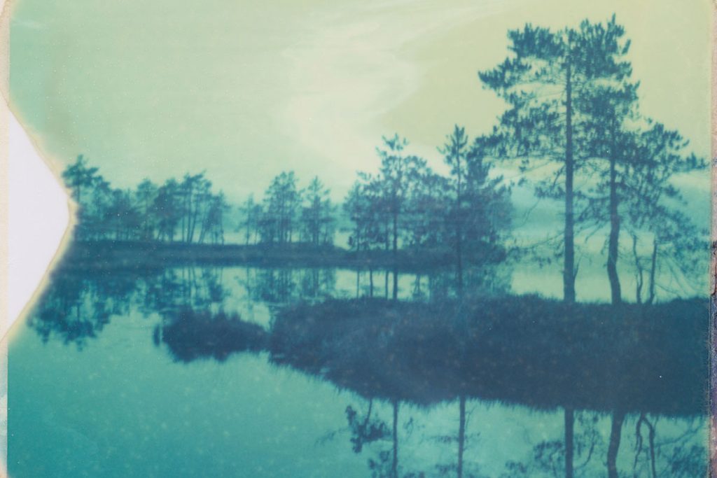 Polaroid 195 landscape image - Wetlands Polaroid Series by Mila Maes on Shoot It With Film