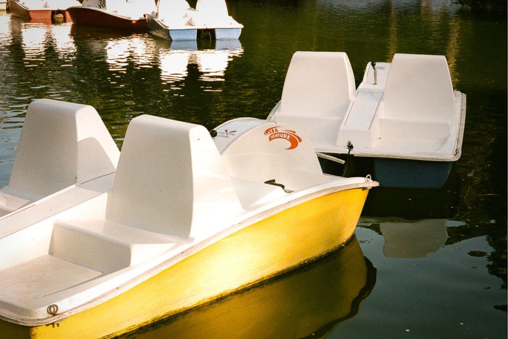 35mm film image from a point and shoot camera - Point and Shoot Film Camera Tips by Drew Evans on Shoot It With Film