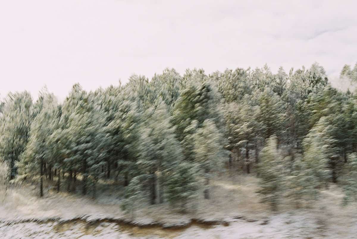 35mm film image of South Dakota by Kamie Wittrock on Shoot It With Film