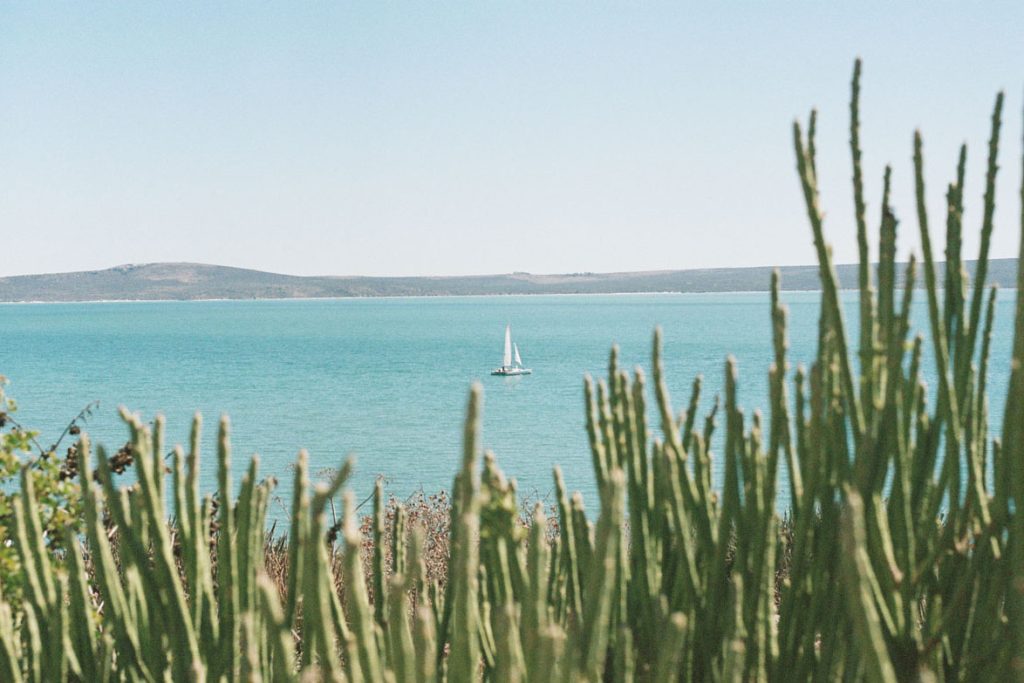 35mm film image of South Africa by Micah Thornton on Shoot It With Film