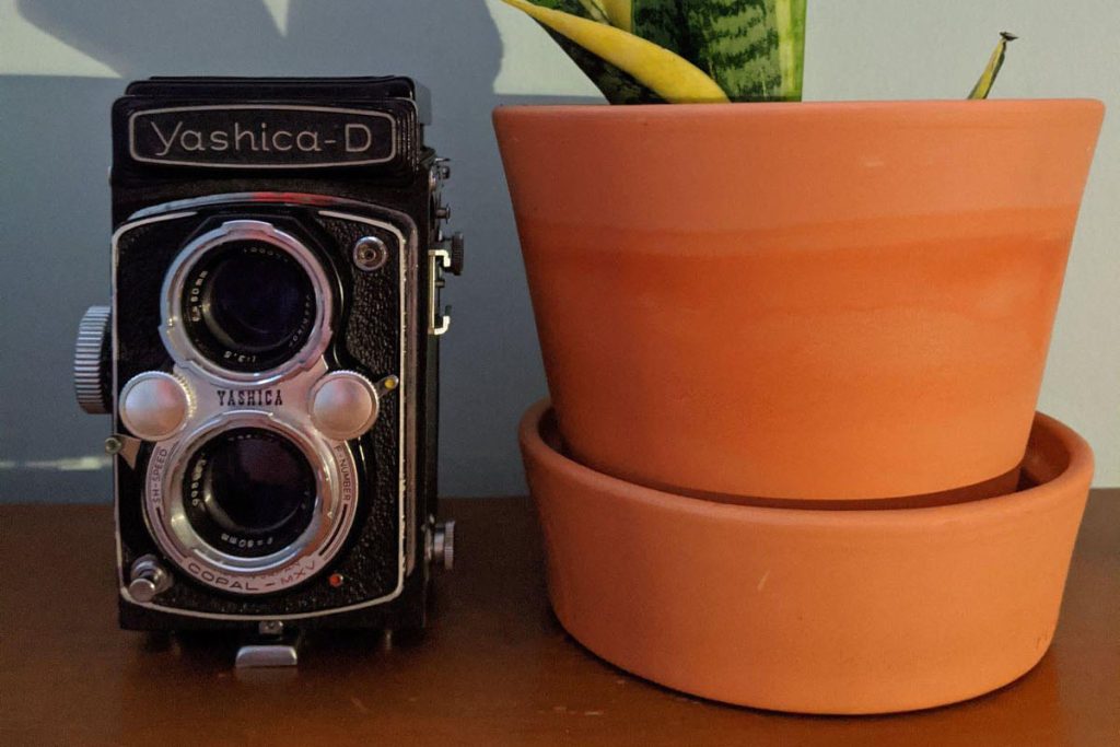 A medium format film image taken with the Yashica D TLR by Katya Rowny on Shoot It With Film