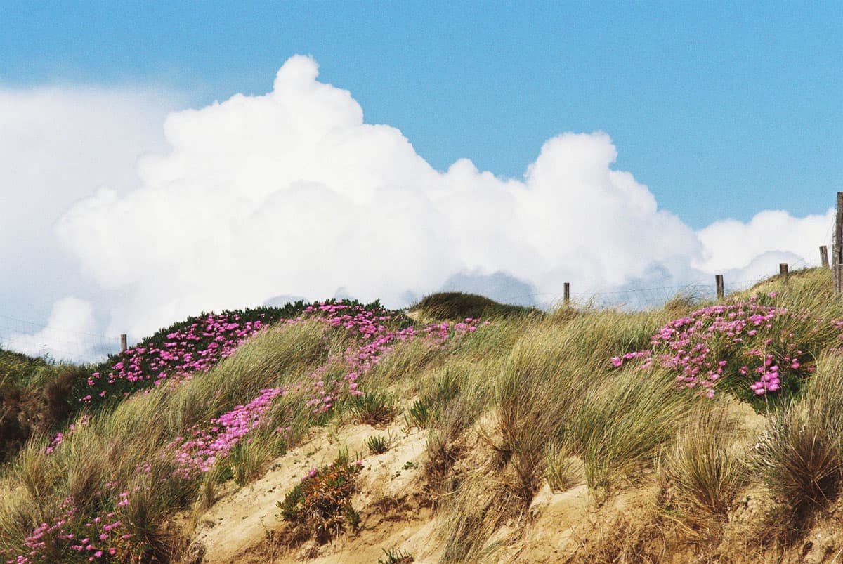 Double Exposures Beach Series by Jean-Christophe Villefranche on Shoot It With Film