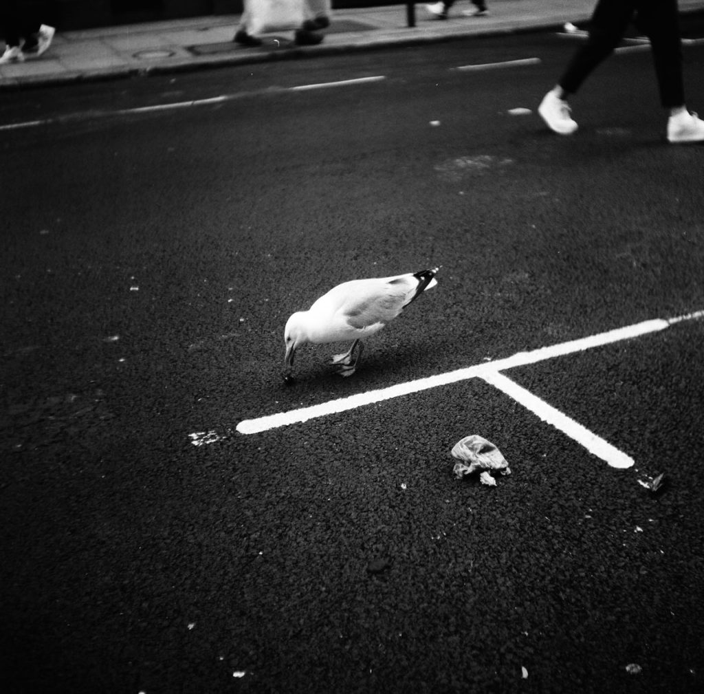 Medium format film image taken with the Plascaflex PS 35 Camera