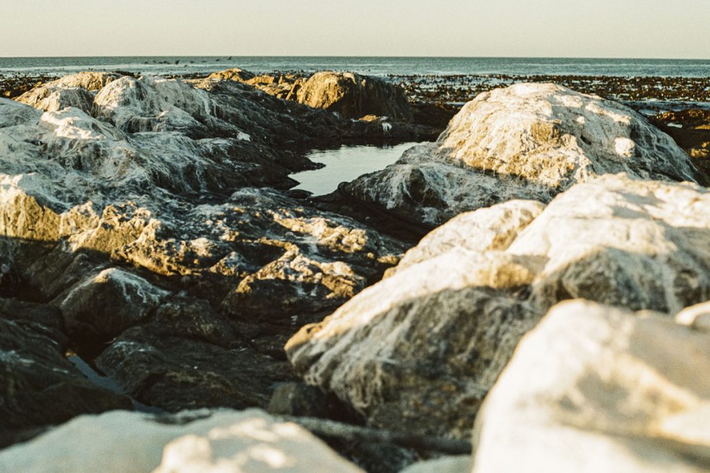 35mm film image of South Africa by Lars Kemnitz on Shoot It With Film