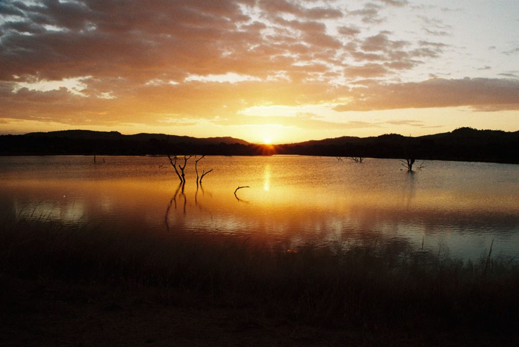 African Safari Photo Series on 35mm Film by Lance James Daniels on Shoot It With Film