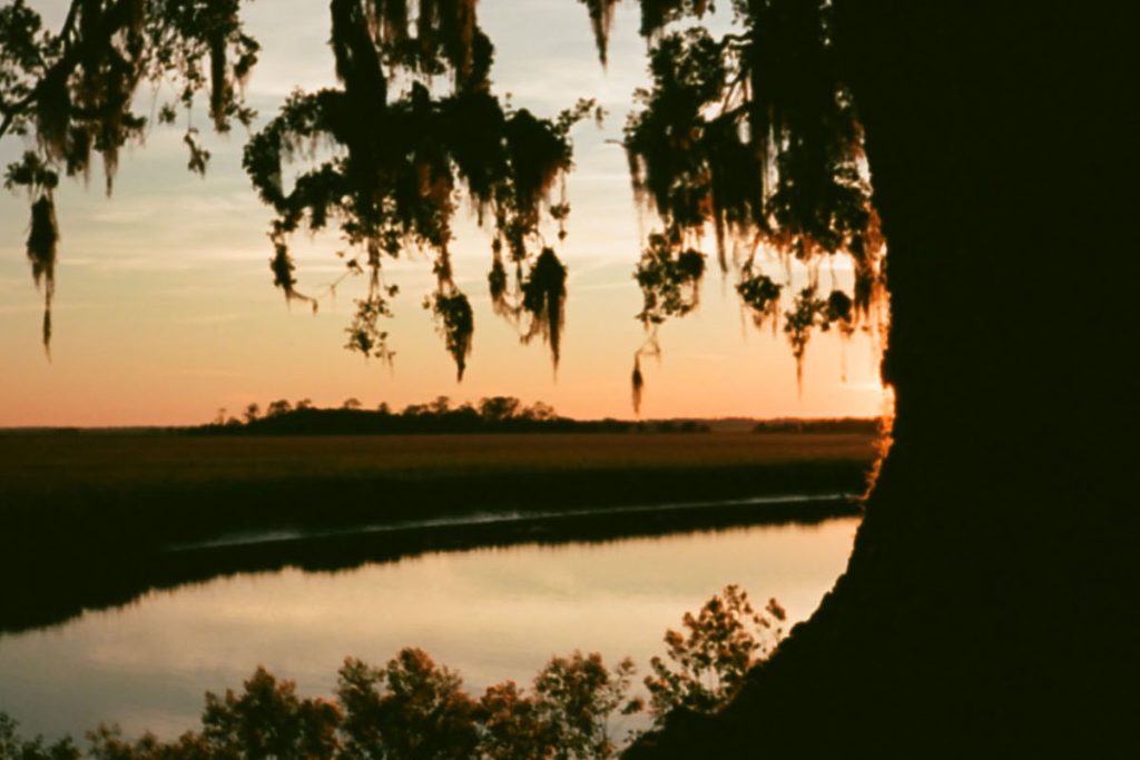 Little St Simons Island by Kate Bunting on Shoot It With Film