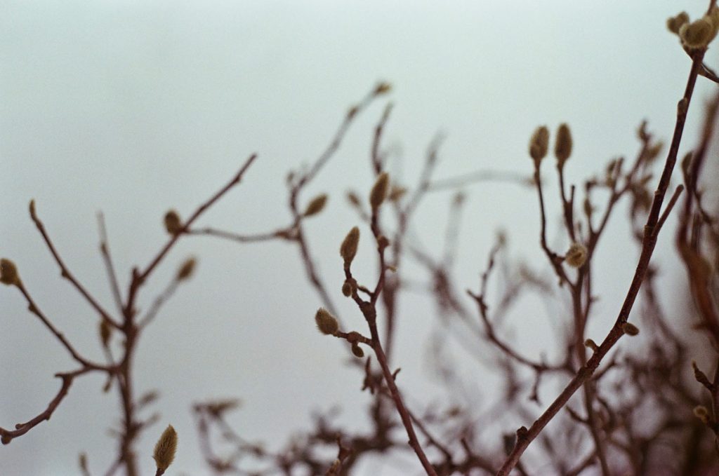 Pleasure Centers Photo Series by Brittany Rolfs on Shoot It With Film