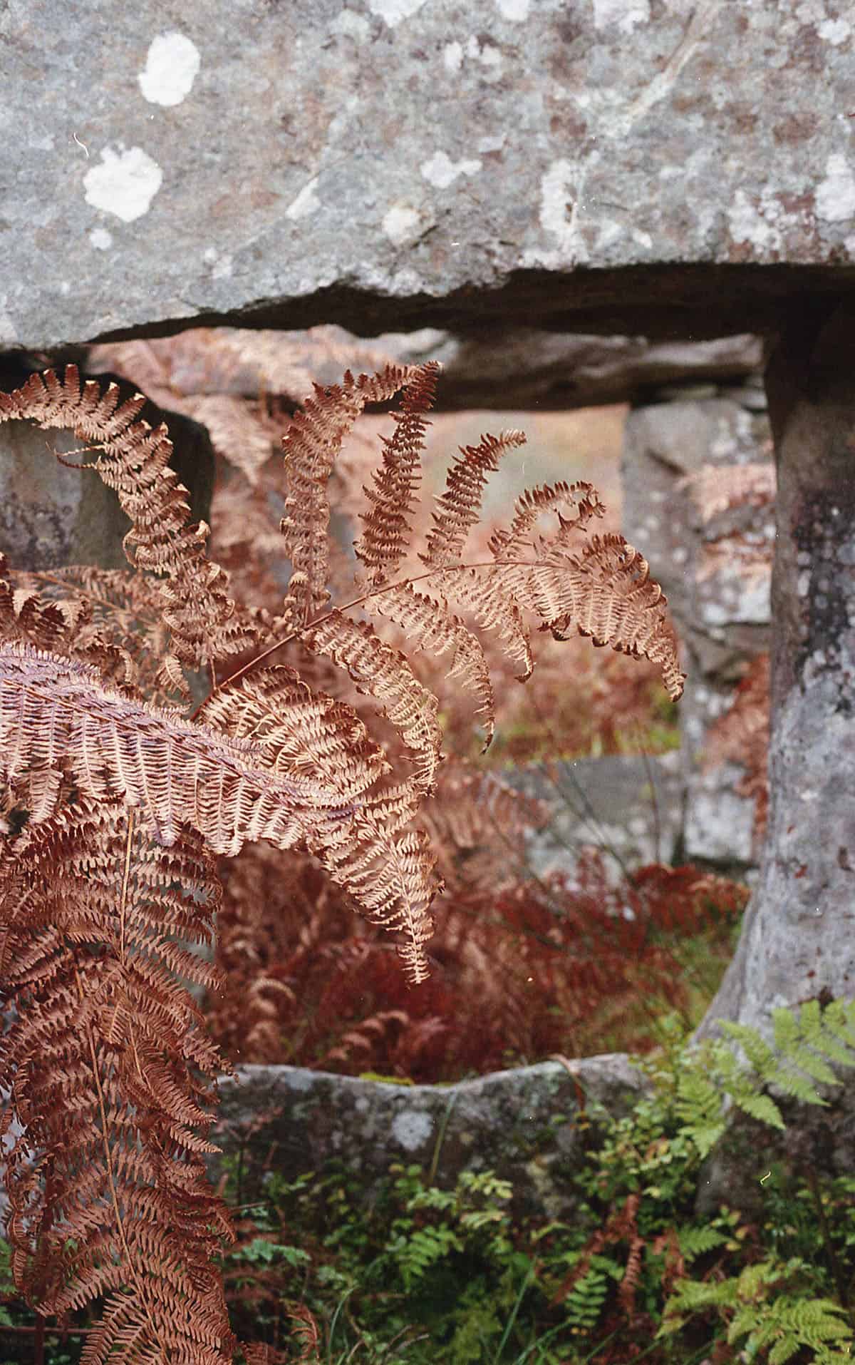 British Isles Travel Story on 35mm Film by Kevin Alexandrowicz on Shoot It With Film