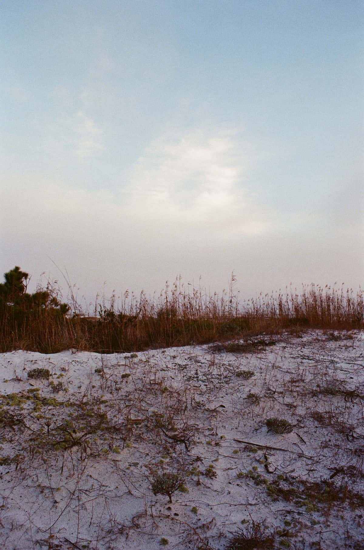 Colorful Day at the Beach on 35mm Film by Kate Bunting on Shoot It With Film