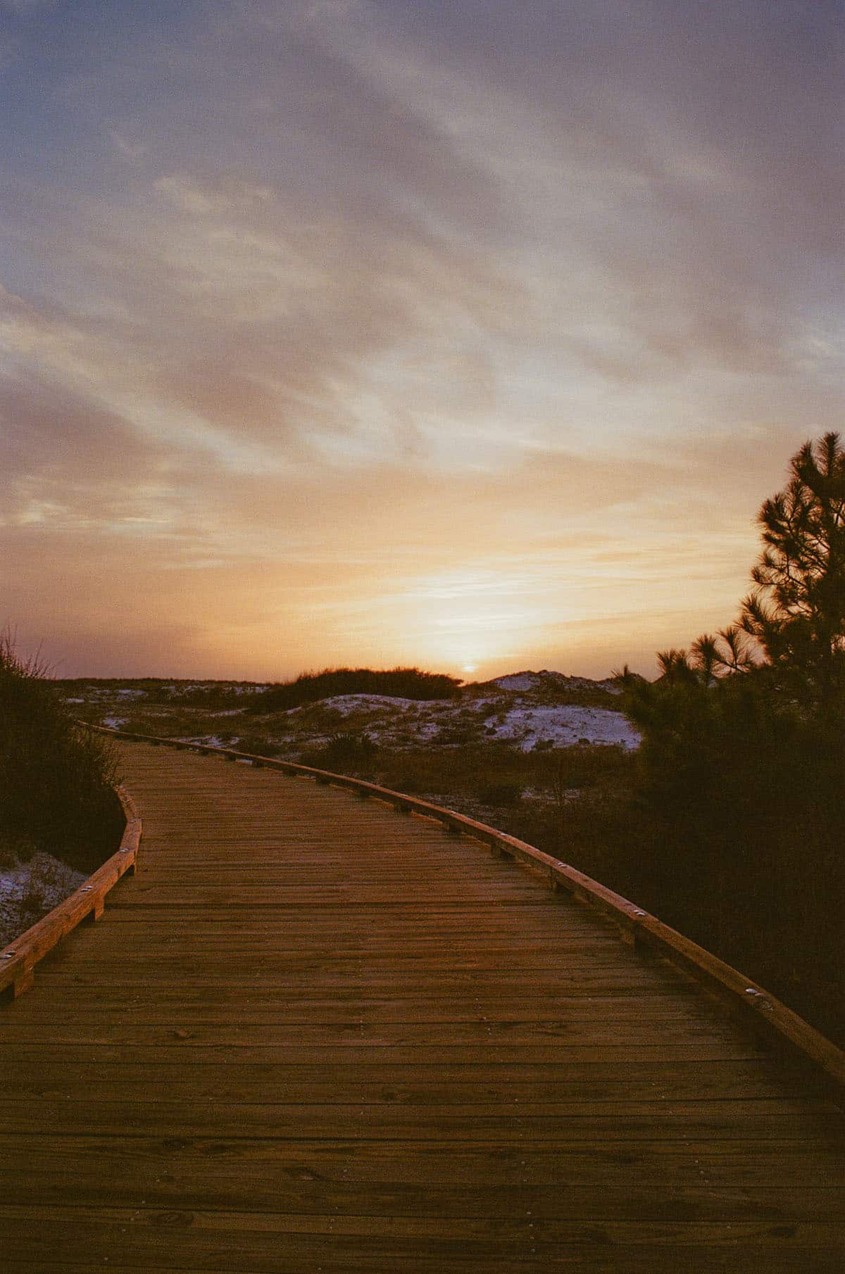 Colorful Day at the Beach on 35mm Film by Kate Bunting on Shoot It With Film