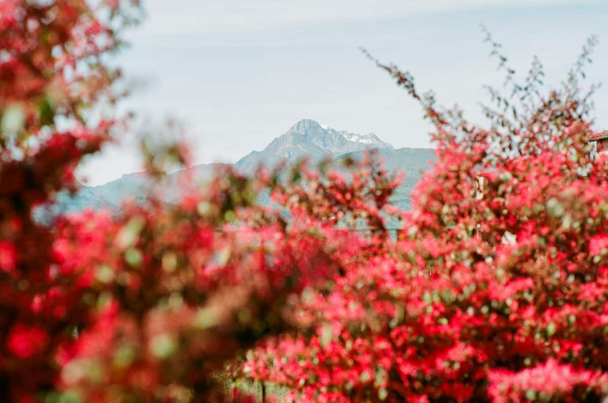 Florence and Tuscany on 35mm Film by David Smith on Shoot It With Film