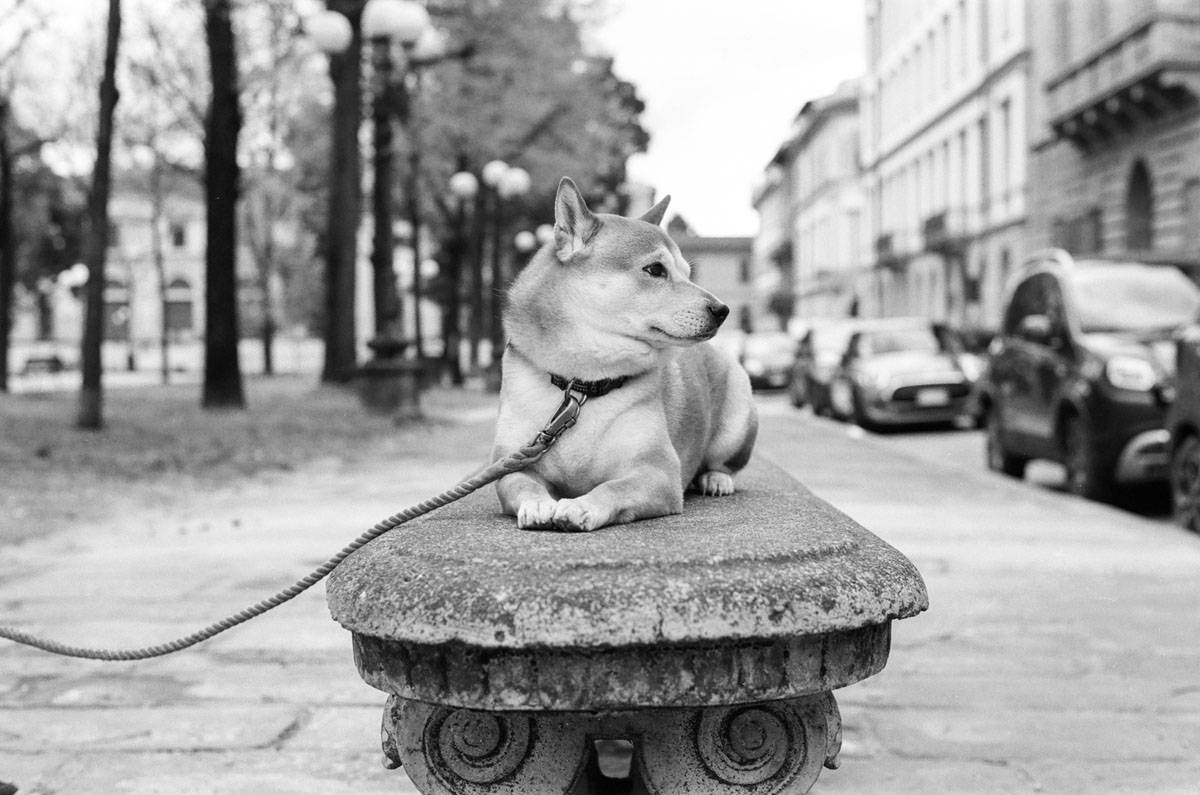 Florence and Tuscany on 35mm Film by David Smith on Shoot It With Film