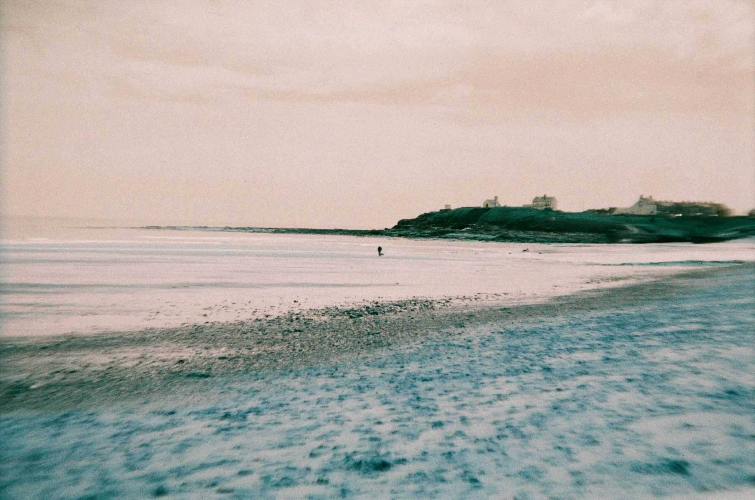Film image with the Lomography Petzval 80.5 f/1.9 MKII Bokeh Control Art Lens by Alec Pain on Shoot It With Film