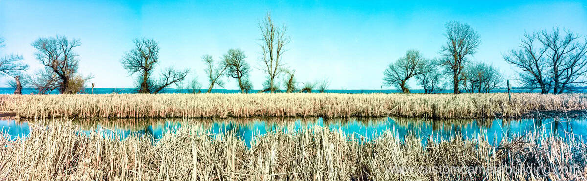 CCB 617C Medium Format Panoramic Film Camera Review on Shoot It With Film