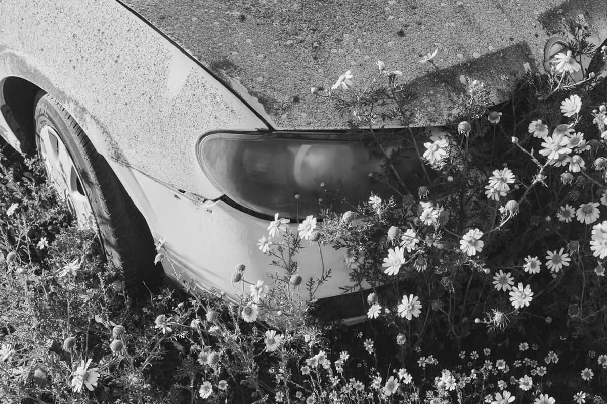 Fuerteventura Island Photo Essay on 35mm B&W Film by Lars Kemnitz on Shoot It With Film