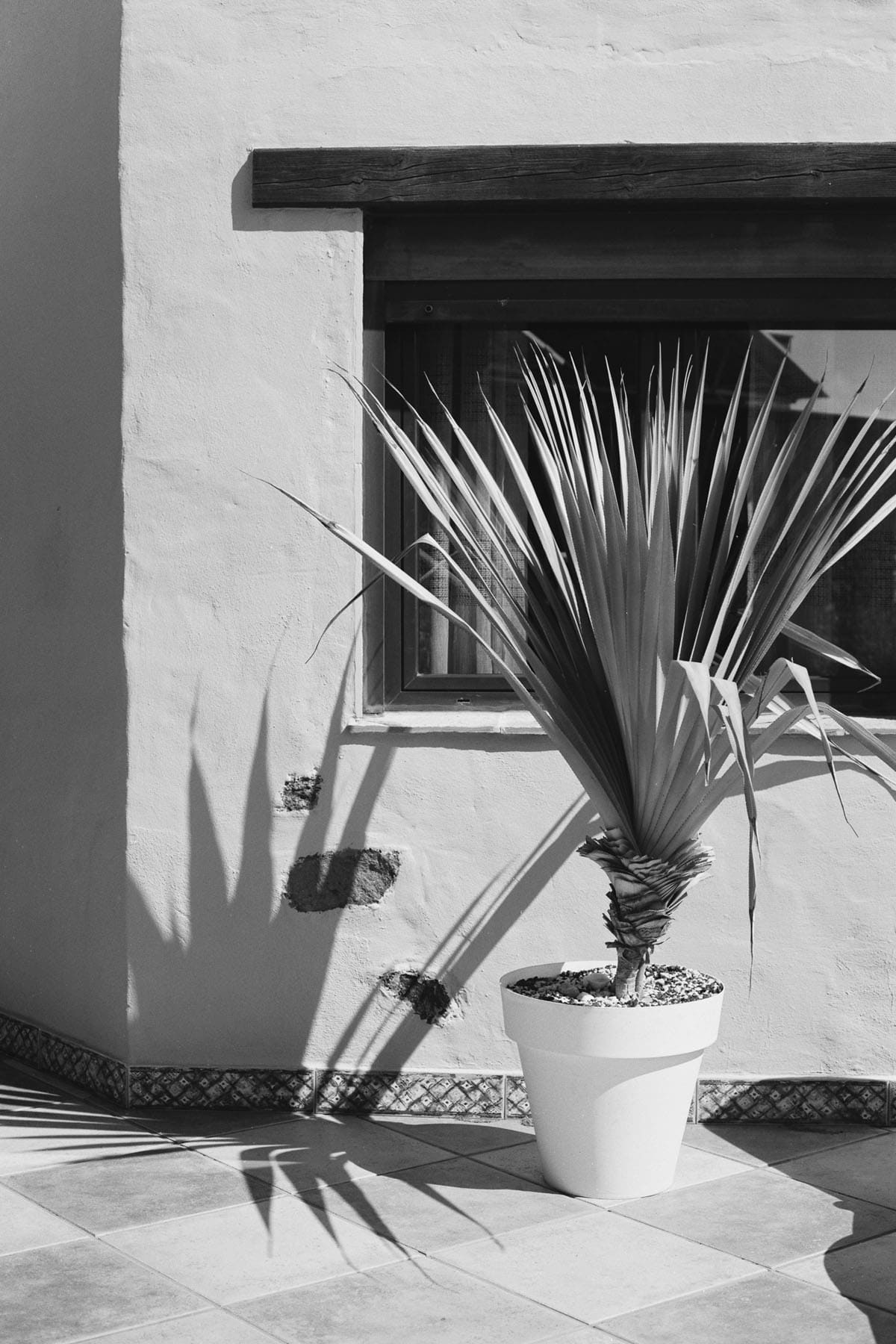 Fuerteventura Island Photo Essay on 35mm B&W Film by Lars Kemnitz on Shoot It With Film