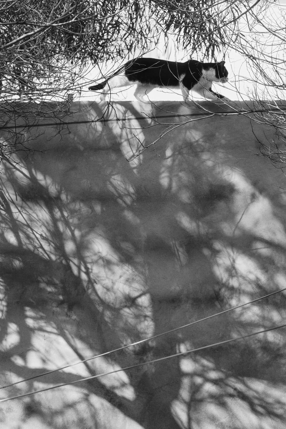 Fuerteventura Island Photo Essay on 35mm B&W Film by Lars Kemnitz on Shoot It With Film