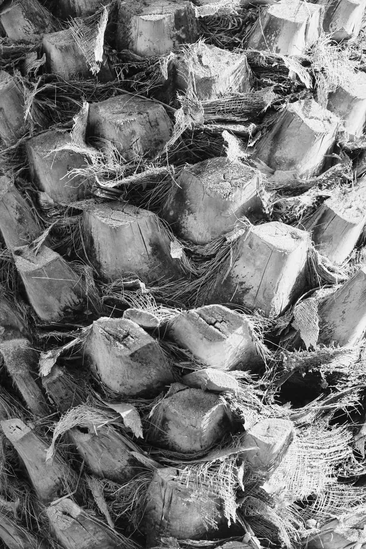 Fuerteventura Island Photo Essay on 35mm B&W Film by Lars Kemnitz on Shoot It With Film