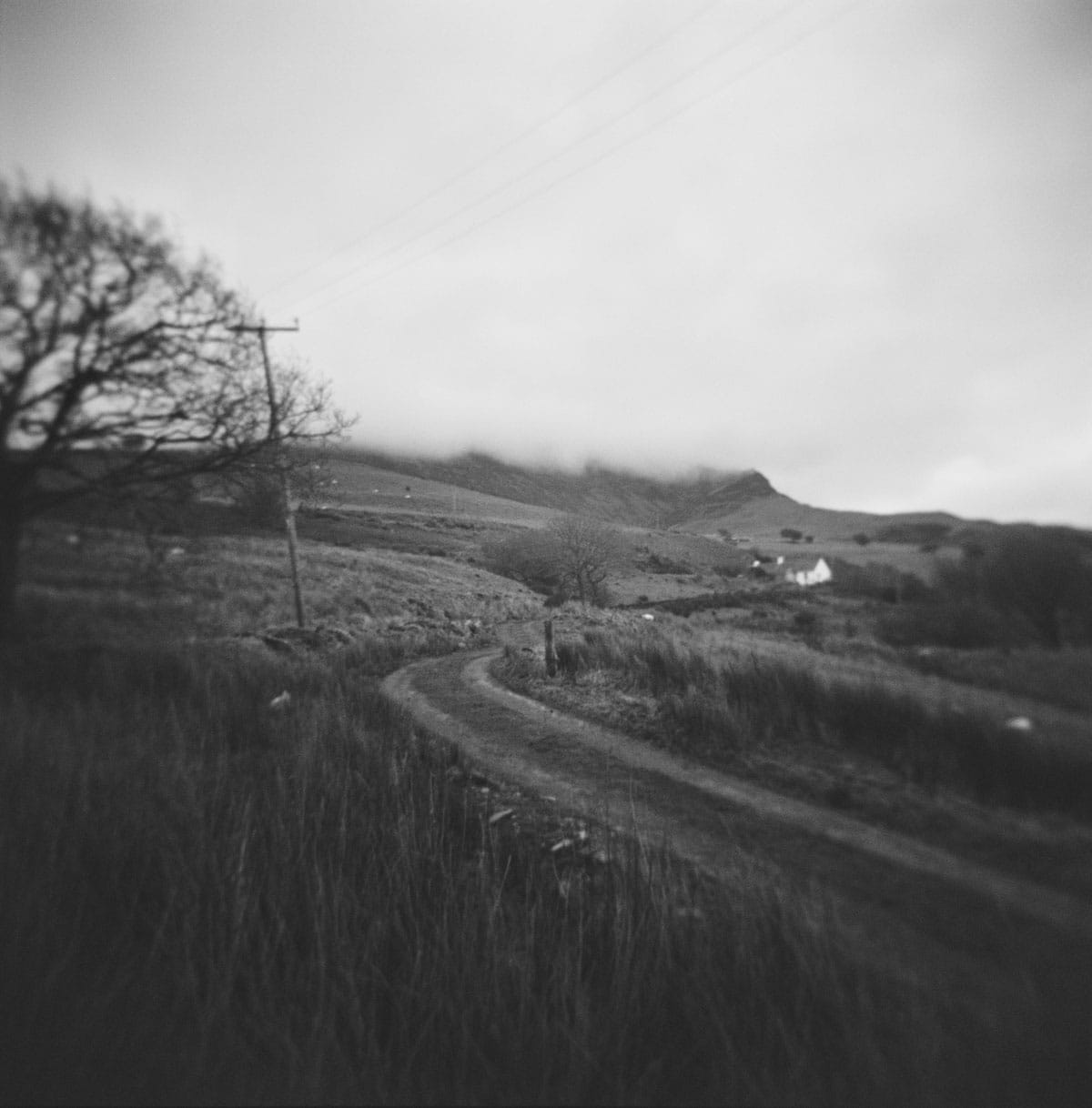 Holga Glass vs Plastic Lens Image Comparisons by Alec Pain on Shoot It With Film