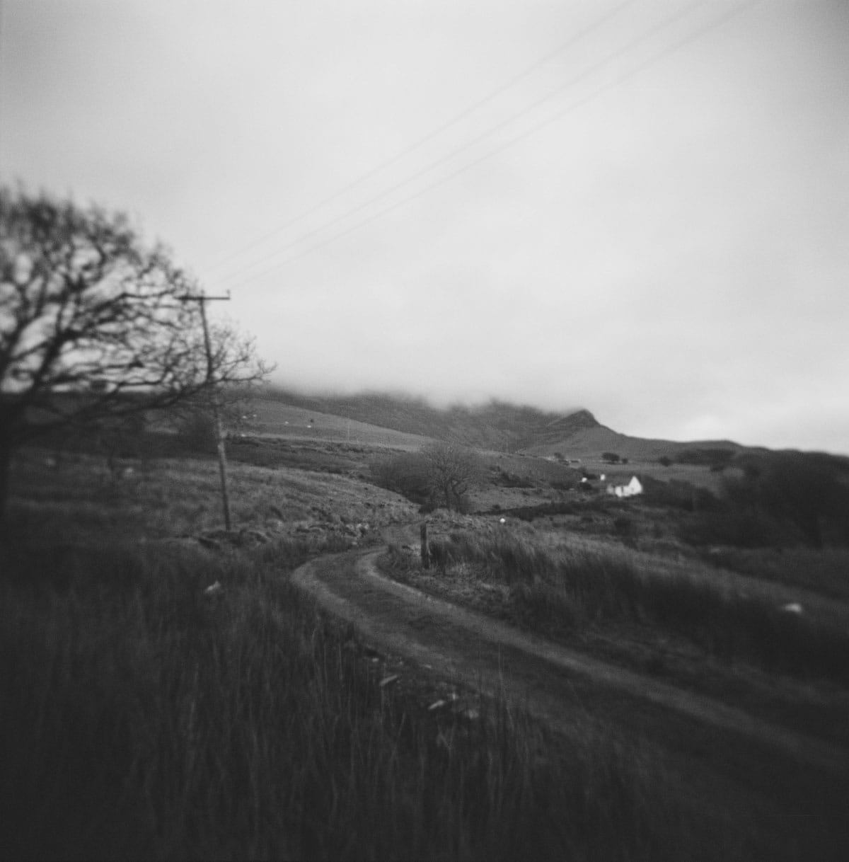 Holga Glass vs Plastic Lens Image Comparisons by Alec Pain on Shoot It With Film