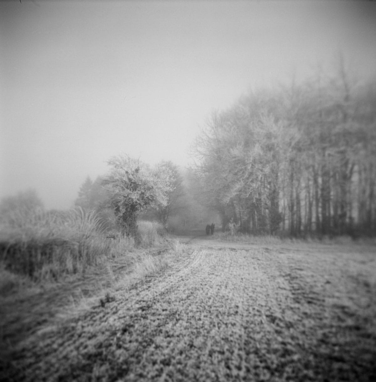 Holga Glass vs Plastic Lens Image Comparisons by Alec Pain on Shoot It With Film