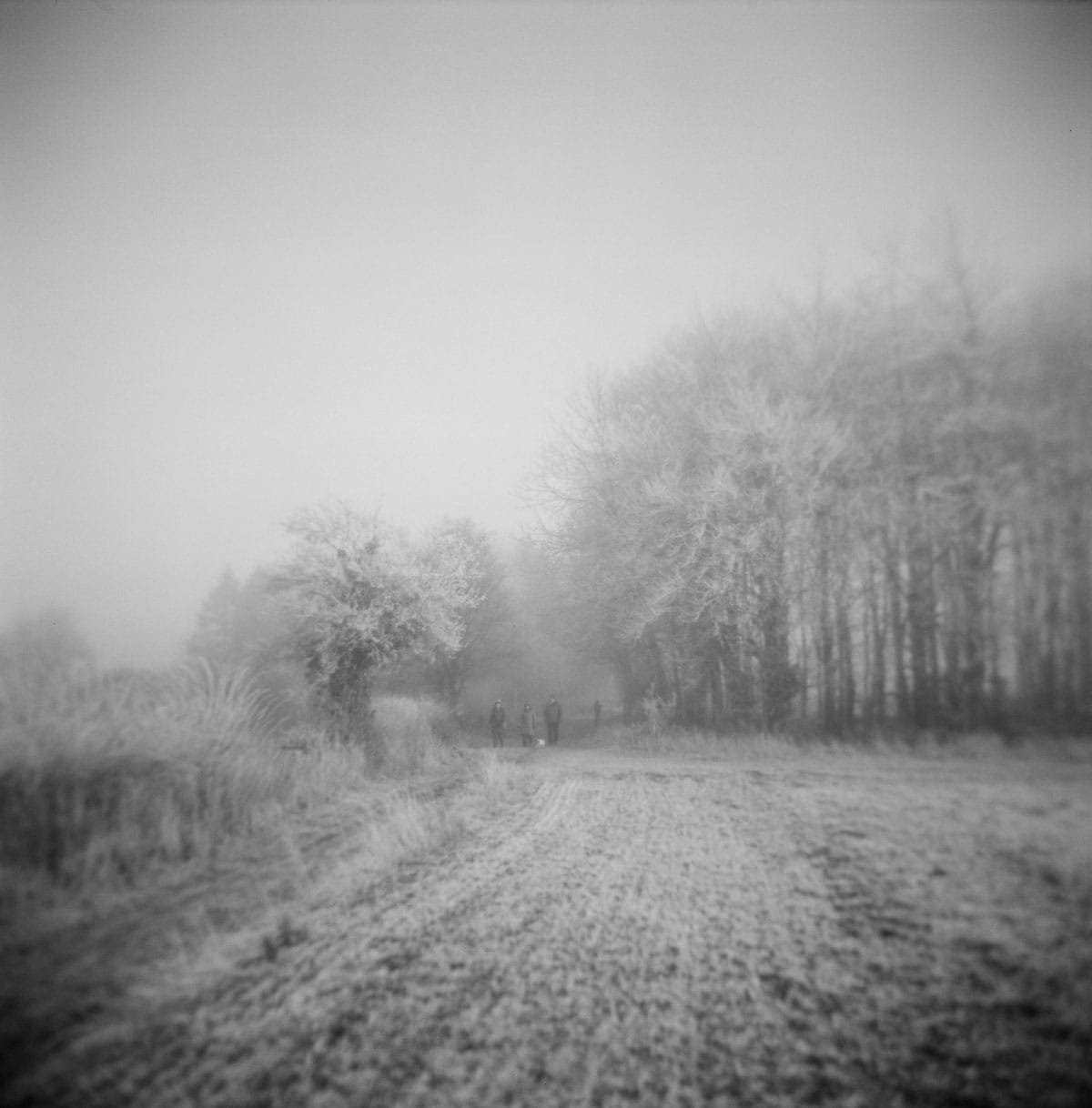 Holga Glass vs Plastic Lens Image Comparisons by Alec Pain on Shoot It With Film