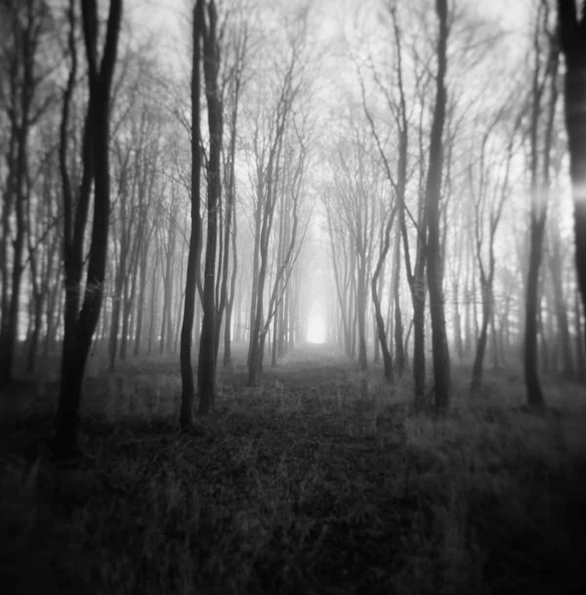 Holga Glass vs Plastic Lens Image Comparisons by Alec Pain on Shoot It With Film