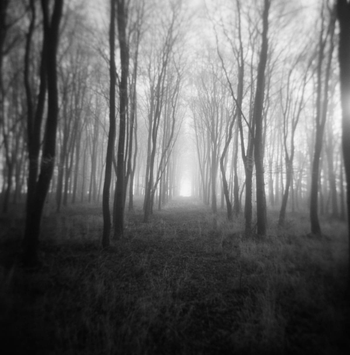 Holga Glass vs Plastic Lens Image Comparisons by Alec Pain on Shoot It With Film