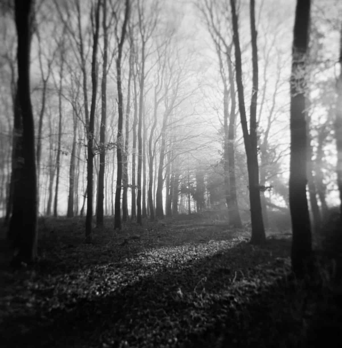 Holga Glass vs Plastic Lens Image Comparisons by Alec Pain on Shoot It With Film